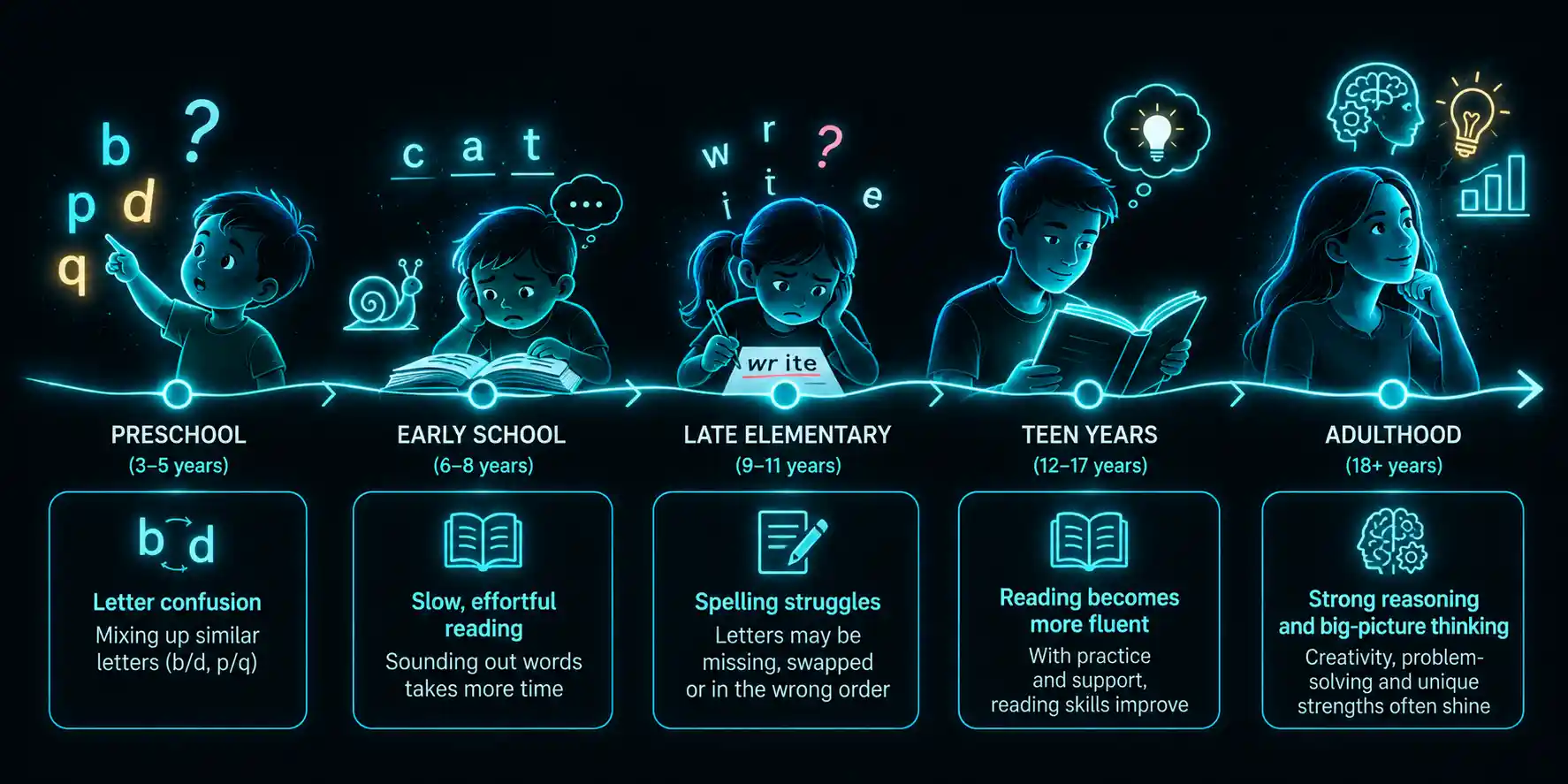 A timeline from preschool to adulthood showing how dyslexia presents at each stage: letter confusion, slow effortful reading, spelling struggles, improving fluency with support, and strong reasoning in adulthood.